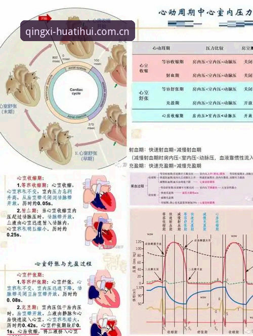 在SPORT功能下，34岁再做选择：详解埃里克森两次心脏骤停的定量对比